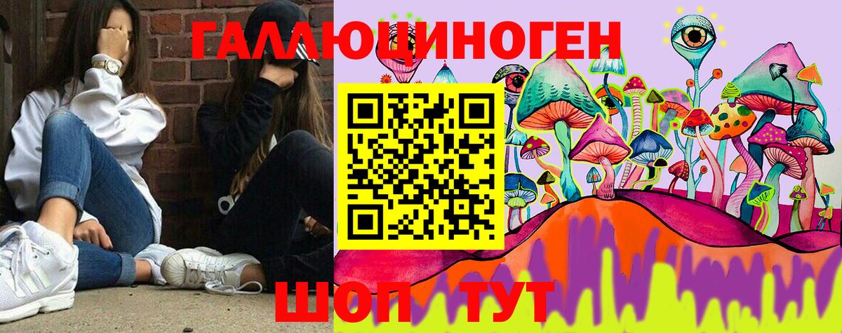 Псилоцибиновые грибы мицелий Вичуга