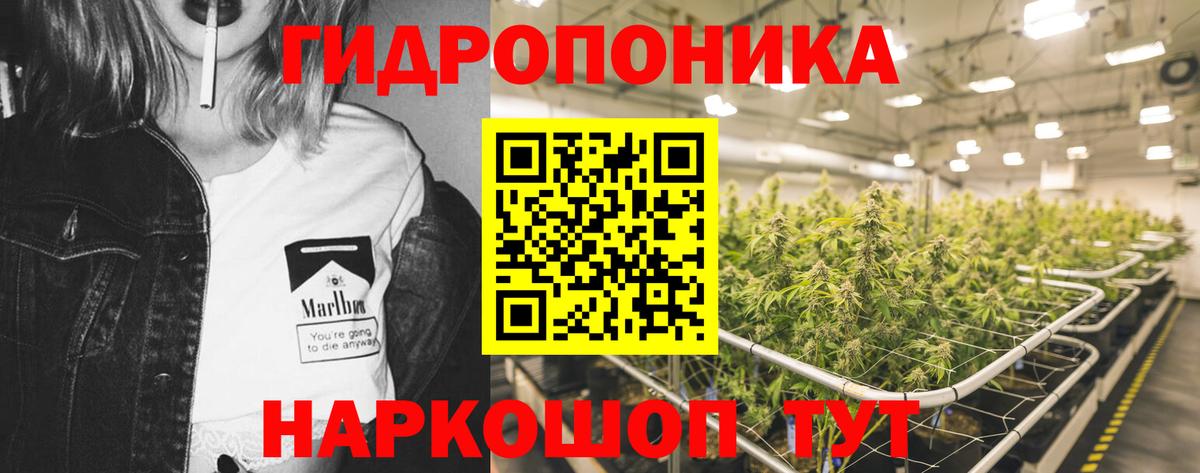 Каннабис семена  Бошки марихуана MAZAR  Бошки марихуана Bruce Banner  Вичуга  Вход с VPN  Каннабис планчик 
